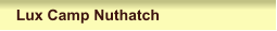 Lux Camp Nuthatch